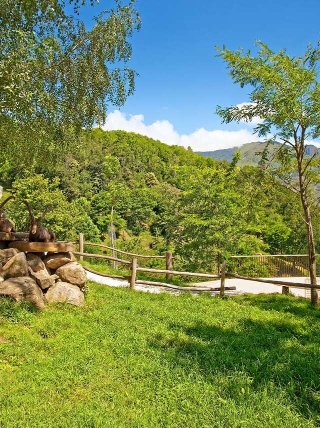 PARC ANIMALIER DES PYRÉNÉES