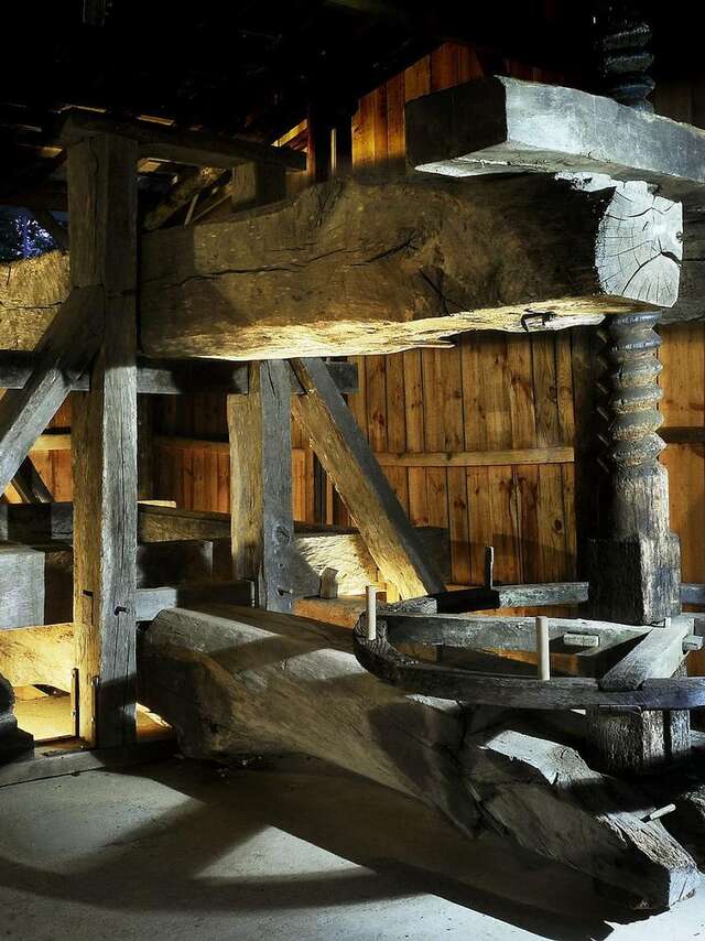Visite guidée des collections au Musée du Paysan Gascon