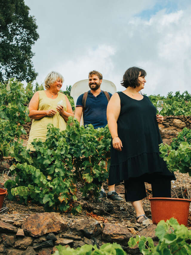 DOMAINE MADELOC