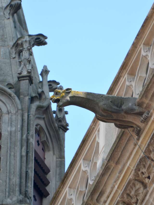 Les animaux fantastiques de la cathédrale Saint-Lazare d'Autun