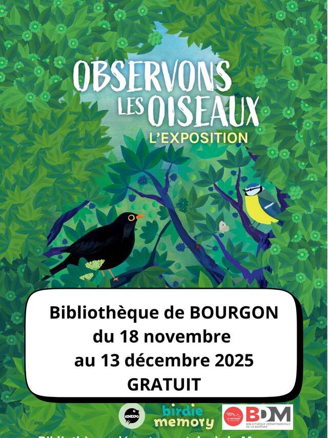 Exposition : Observons les oiseaux