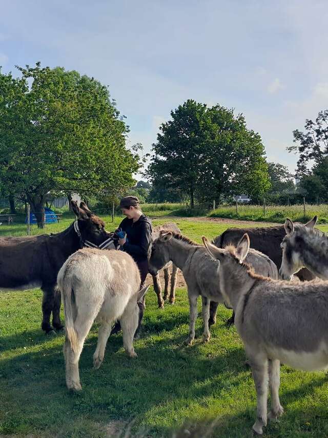 De la traite au savons à l'Asinerie du Bois Gamats