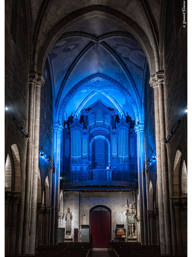 Visite de l'orgue (Basilique Notre-Dame d'Avesnières) - Journées européennes du patrimoine