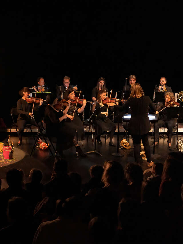 Musique : Symphonie pour Doudous - Ensemble instrumental de la Mayenne // Théâtre des 3 Chênes