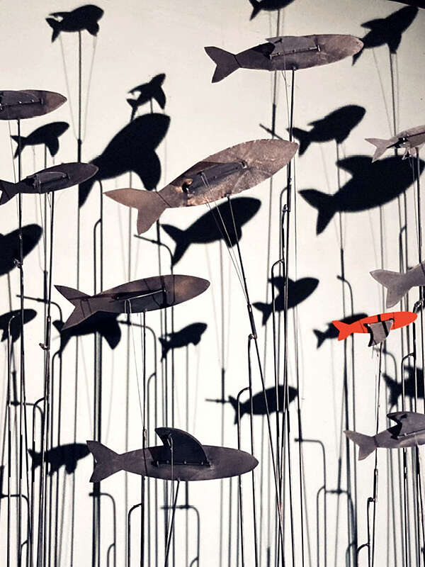 Il y a des oiseaux dans l'aquarium - Cie l'insolite mécanique / Le Théâtre (PUPAZZI)