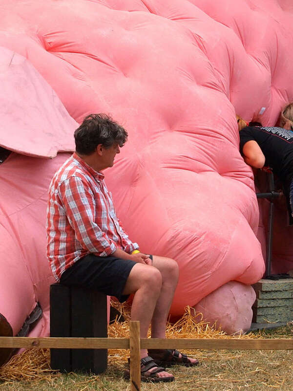 Oink - De Kaaimannen (Belgique) / Le Théâtre (PUPAZZI)