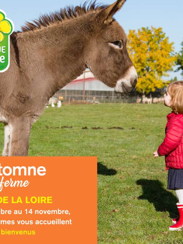 Automne à la ferme - La cueillette Duverger