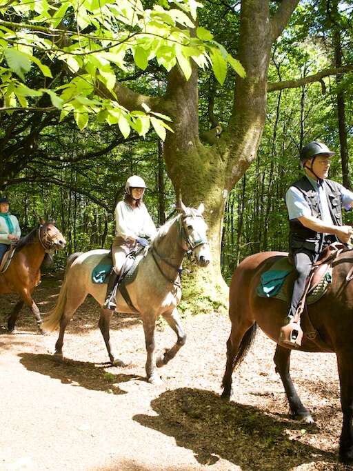 FERME EQUESTRE LE GRAND CHEMIN