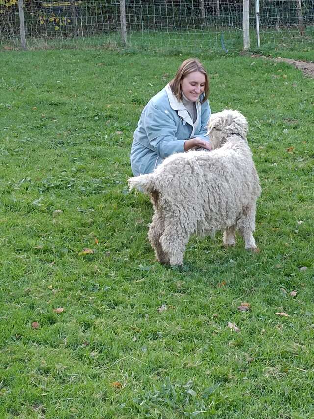 À la découverte des animaux - Asinerie du Bois Gamats