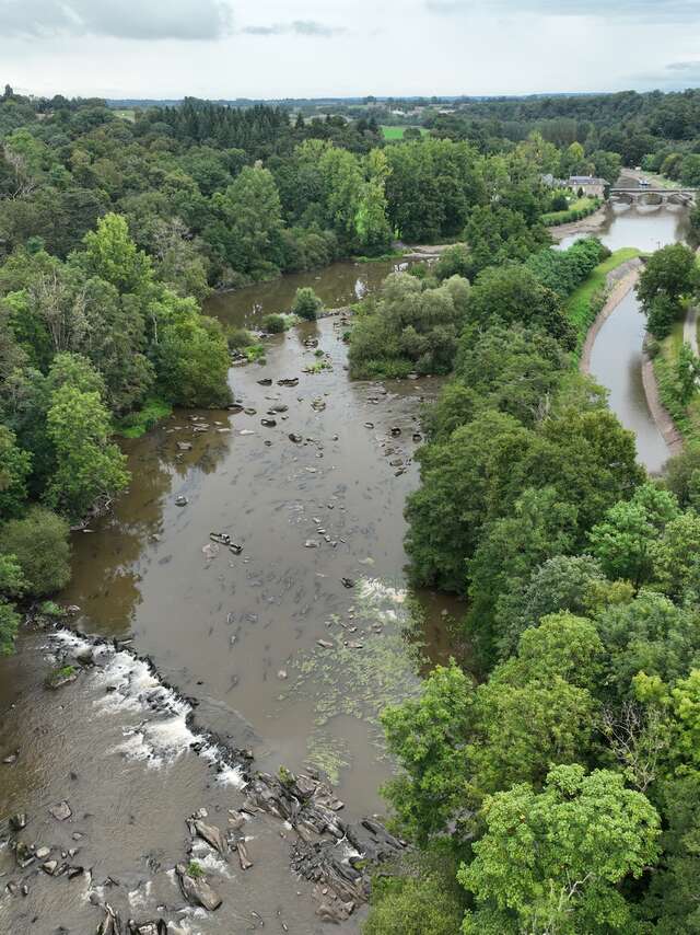 Les Samedis de l'histoire : Sous les eaux de la Mayenne : à la découverte des sites archéologiques de rivière dévoilés lors des écourues de 2024