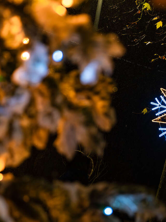 La Dacterie, quartier de Lumières