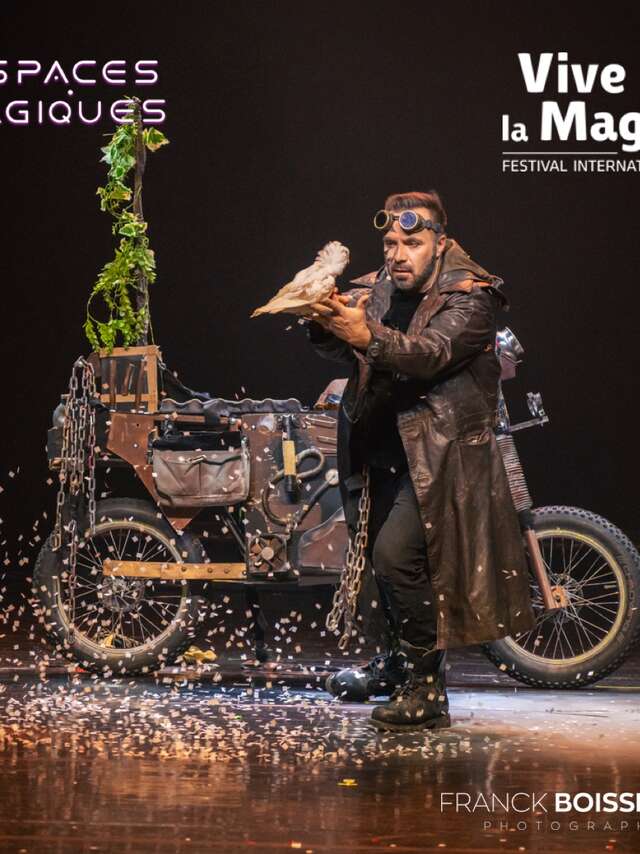 Festival Vive la Magie