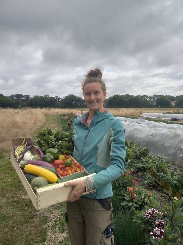 FERME DES LÉGUMES PERCHÉS