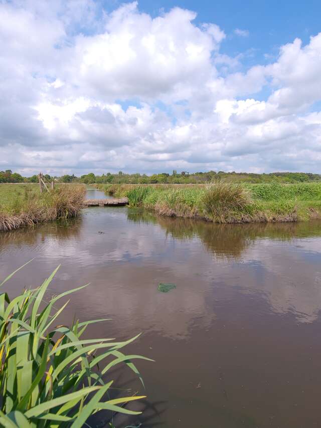 LES MARAIS DE LOIRE