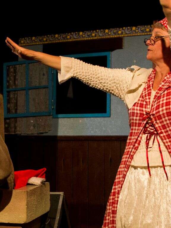 La folle histoire ou l'univers caché du père noël