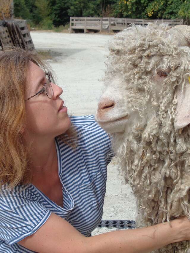 Industrielle Attitude : Mohair du Maine