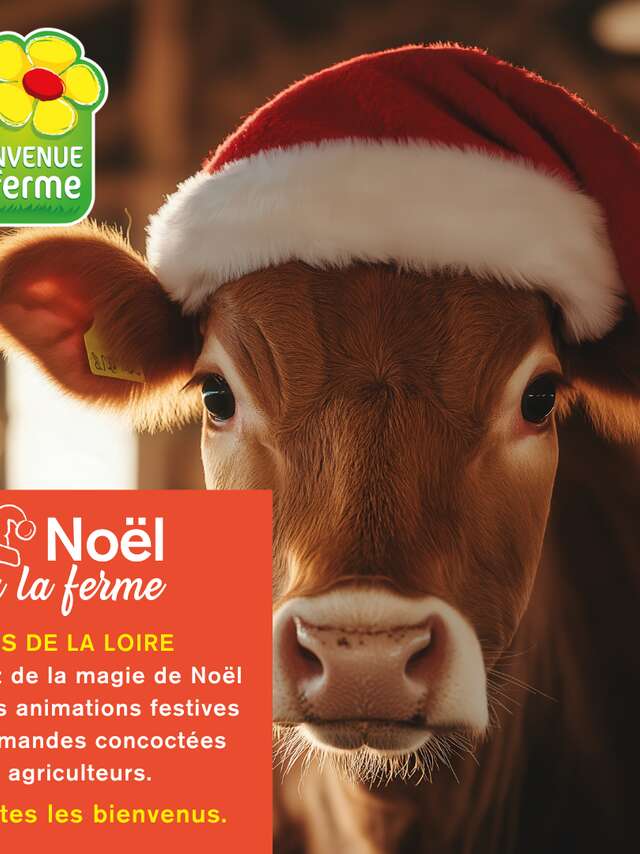 Noël à la Ferme : Drive Fermier 53