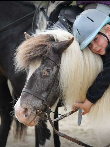 PONEY CLUB DU BOULAY