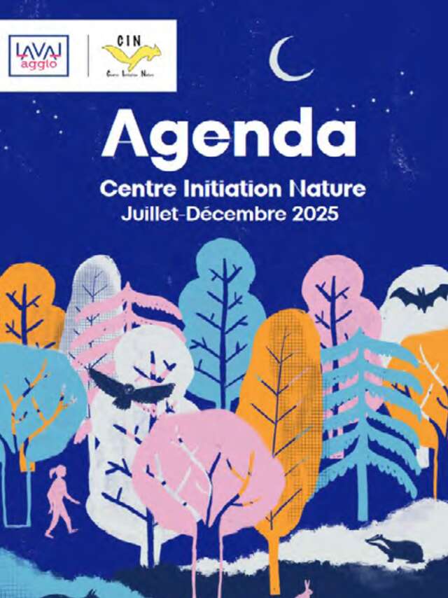 Escape game "chauve qui peut !"