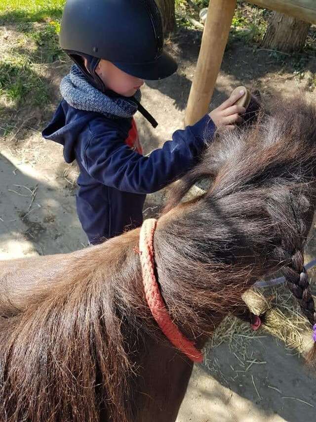 ESPACE EQUESTRE DU FOUILLOUX