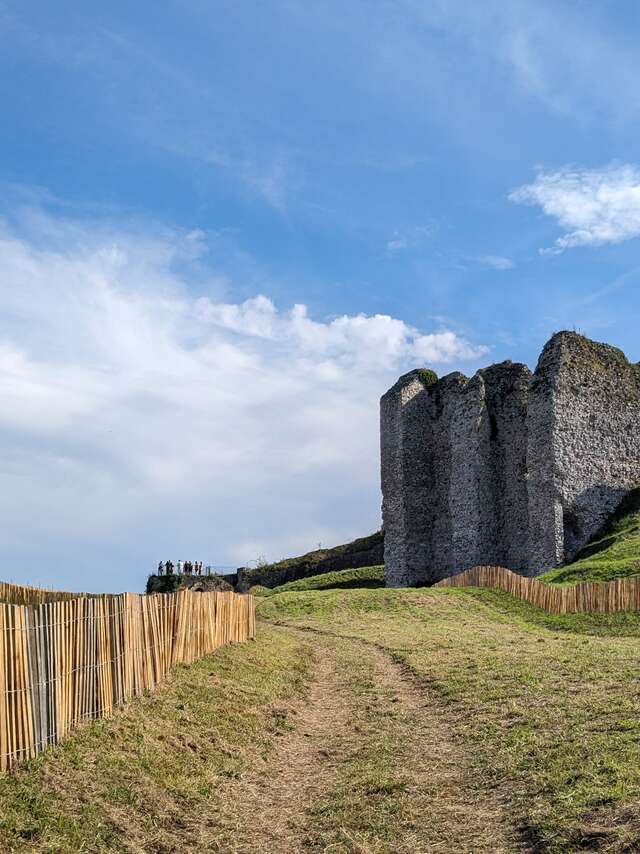 [Visite guidée] Arques-la-Bataille, l’orgue et le donjon