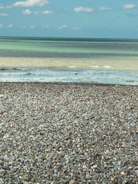 Plage-Baignade Mesnil-Val