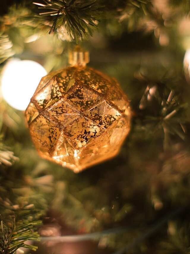 [Jeux enfants] Un visiteur surprise à l'Office de Tourisme