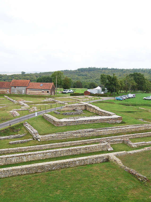 BRIGA - Site archéologique du Bois l'Abbé