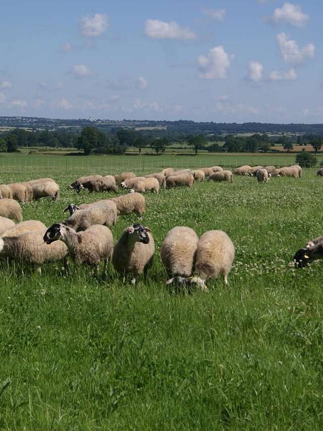 LA FERME AUX 5 CHEMINS