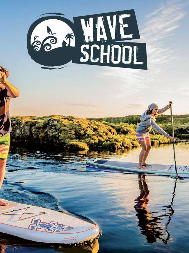 WAVE SCHOOL
