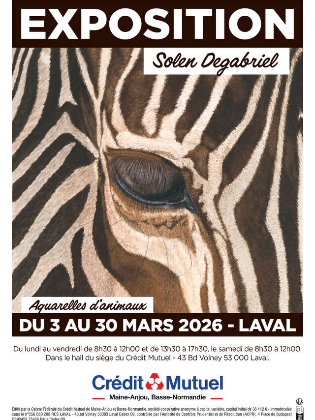 "Aquarelles d'animaux"