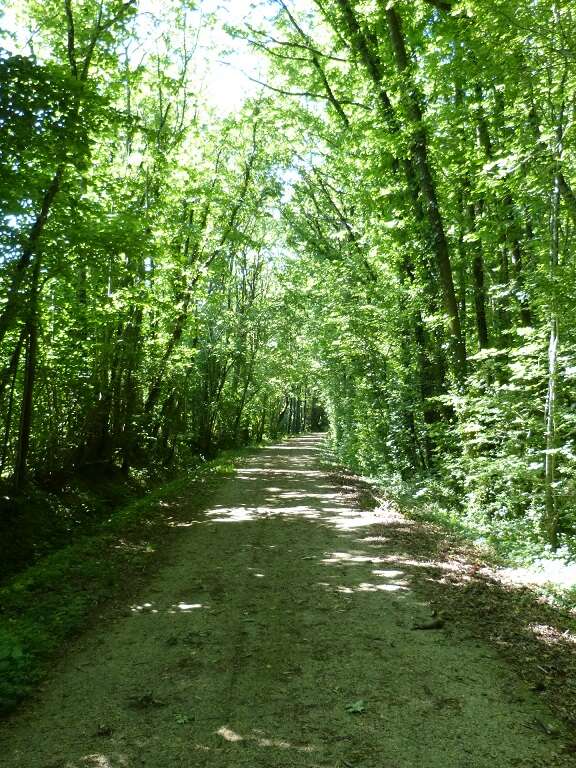 Circuit pédestre Le Chemin de la Mine