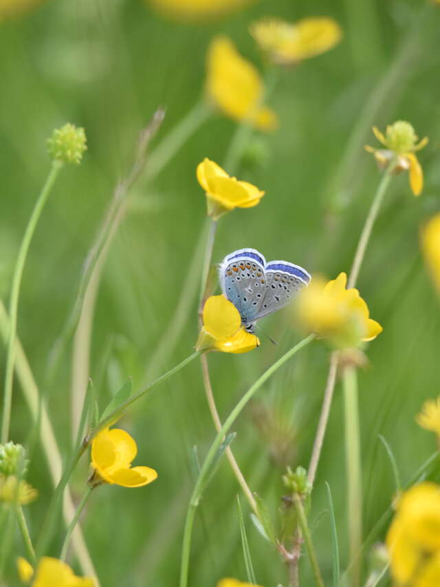 Un moment dans la vallée