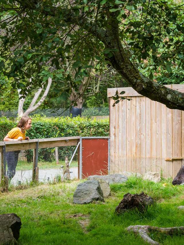 Spaycific'Zoo / Zoodéfis