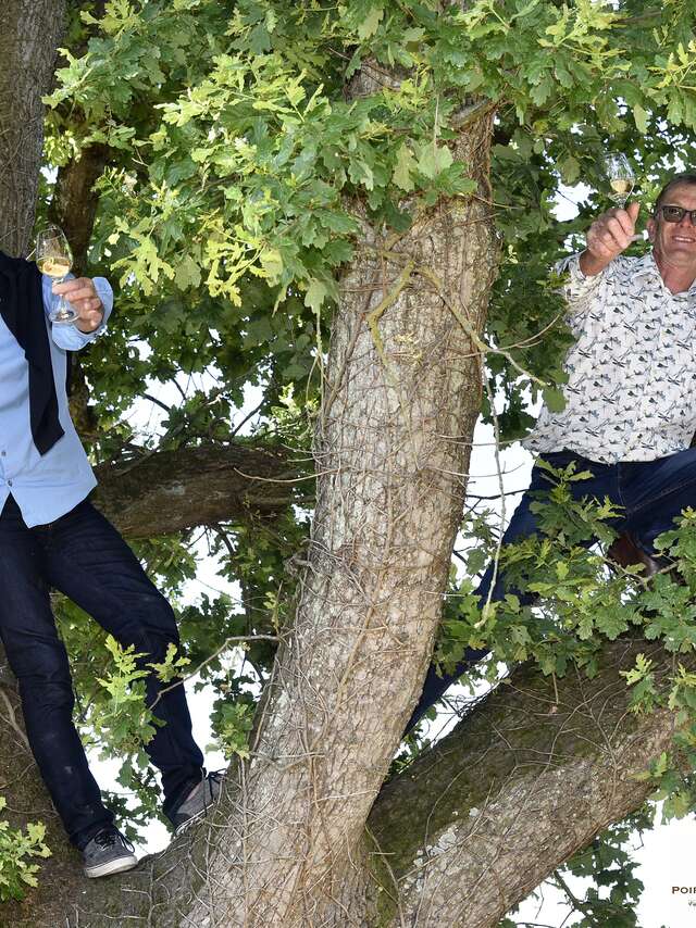 Domaine Poiron Dabin