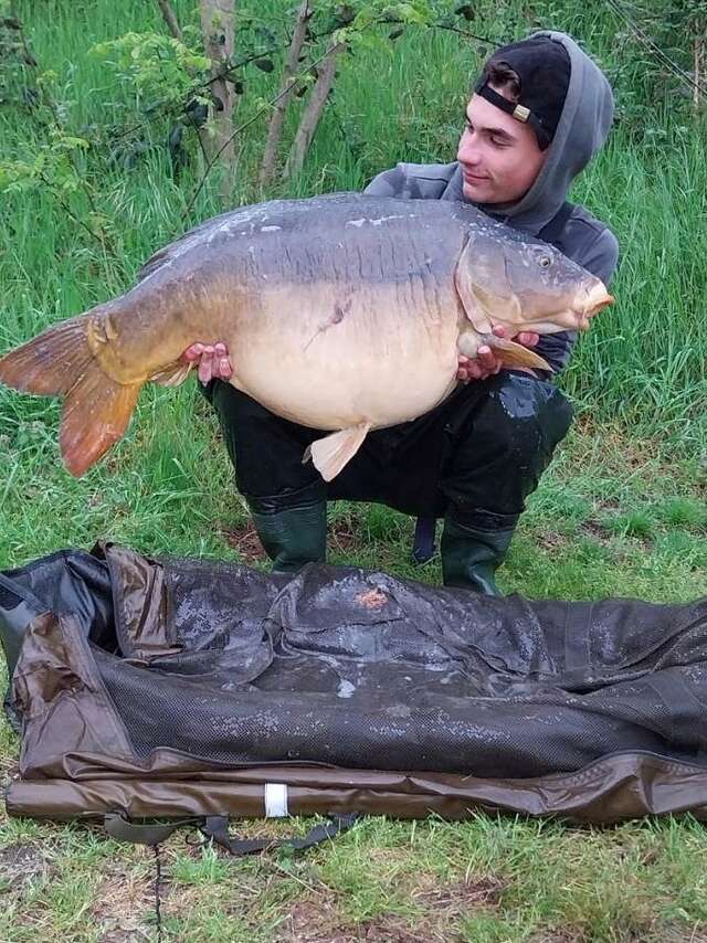 Pêche carpiste et de loisirs