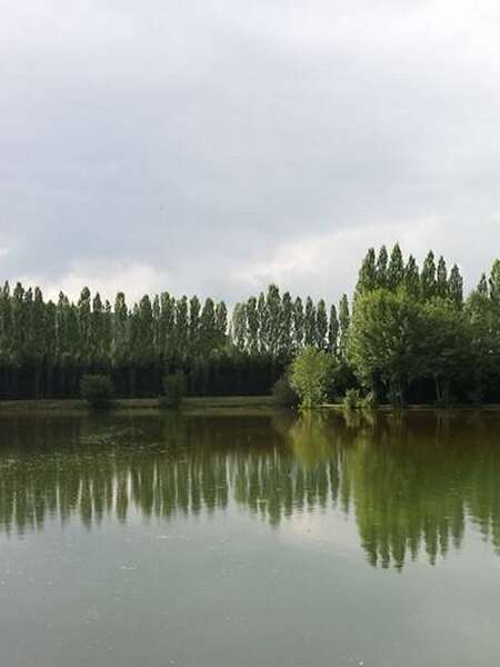 Fishing pond : Domaine de l'Orbiquet