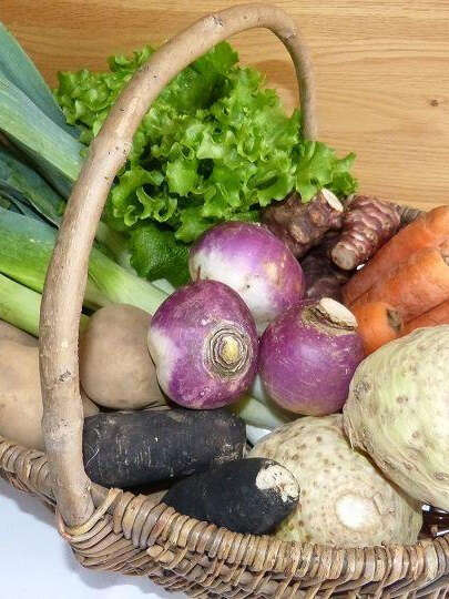 O bons produits de jardins de nounou