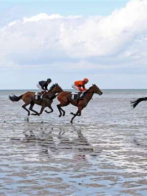 Courses hippiques sur la plage de Saint-Efflam