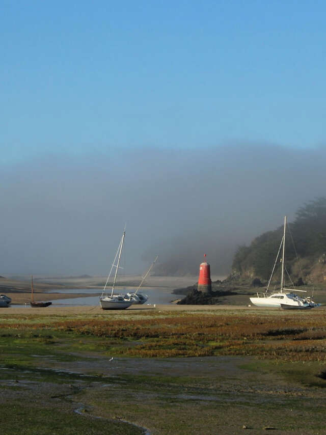 Vallée du Douron entre bois et estuaire