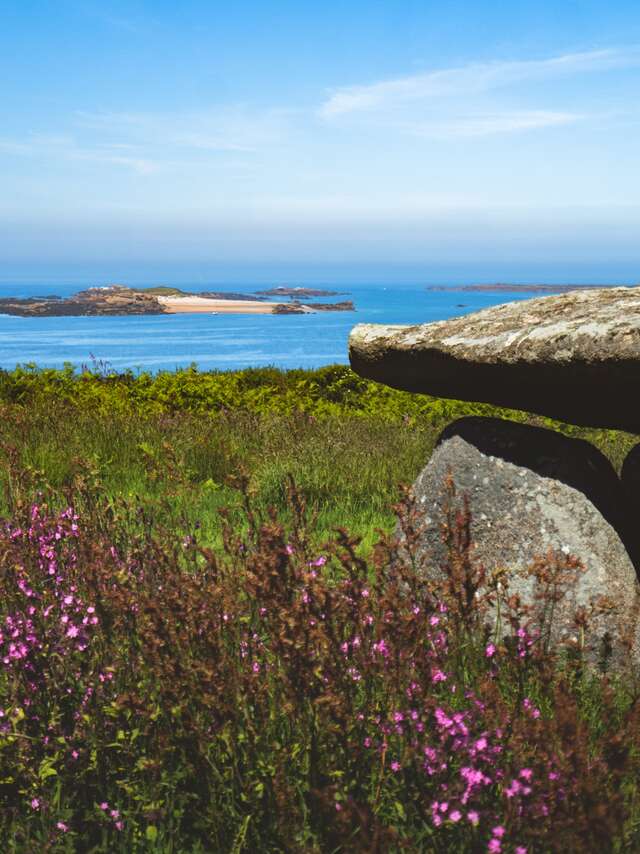 Les différents granites de la côte