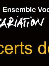 Variation XXI - Concert de Noël