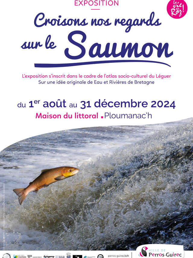 Exposition intérieure croisons nos regards sur le saumon - Léguer en fête