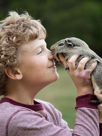 Biscuits party pour les petits animaux en famille