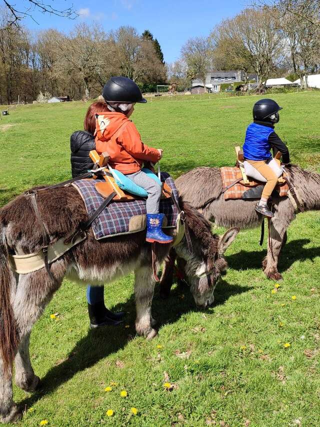 Atelier Les petits âniers 2 ans - 8 ans