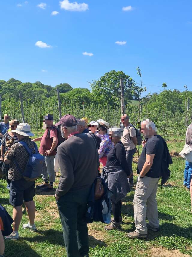 Les Vergers du Trégor