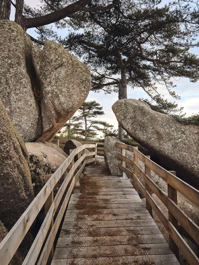 Le Castel un après midi d'hiver