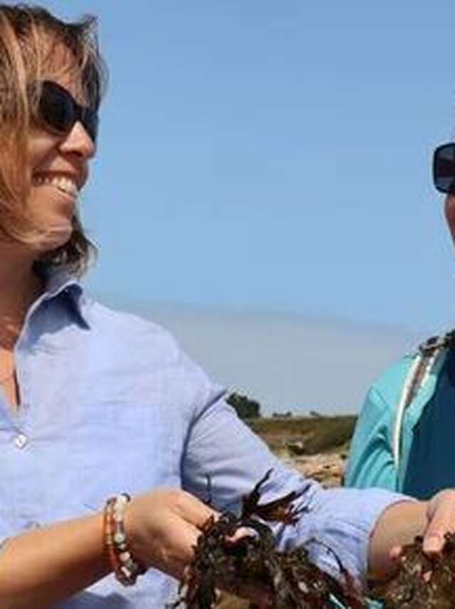 Découverte des algues