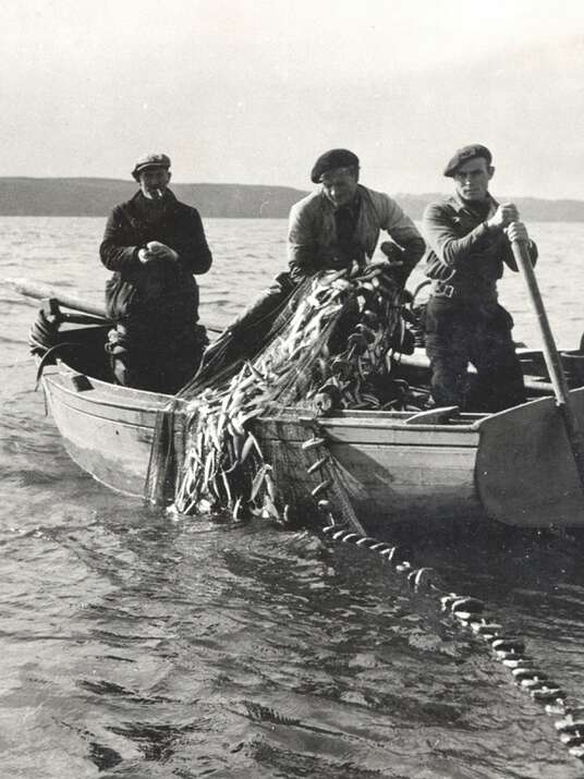 La pêche à la sardine à Locquémeau