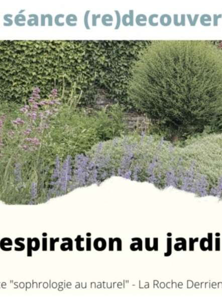 Repirer au jardin - séances de sophrologie au naturel